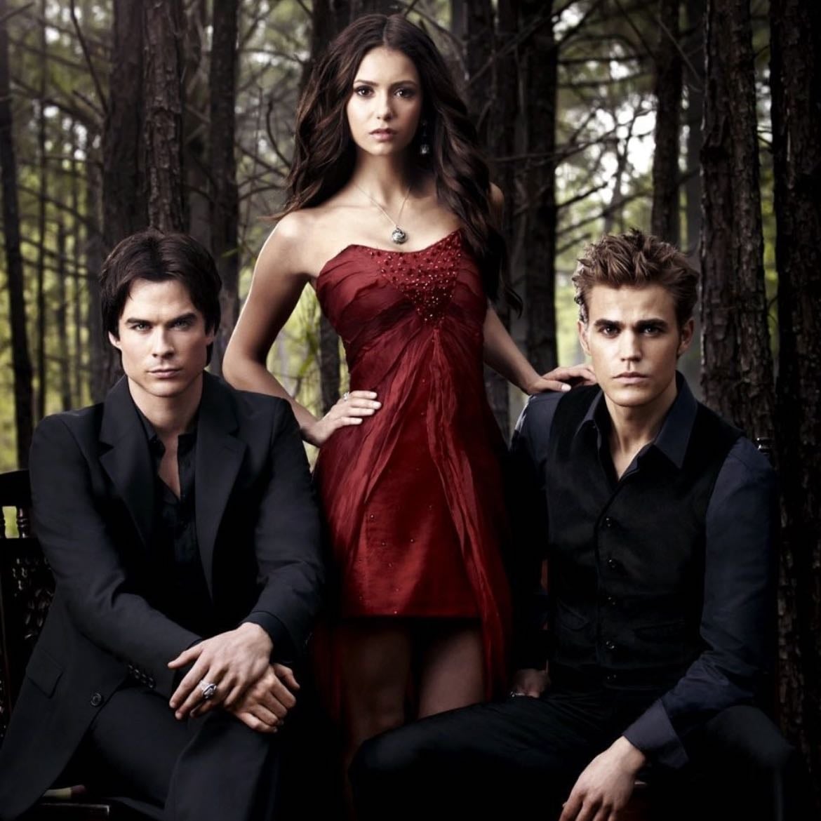 The vampires diaries