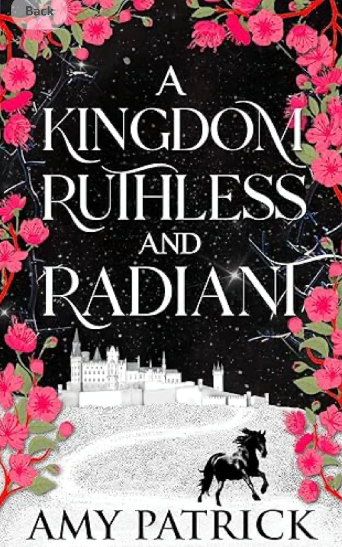 A Kingdom Ruthless and Radiant - Amy Patrick