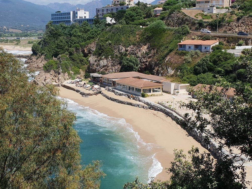 Corse