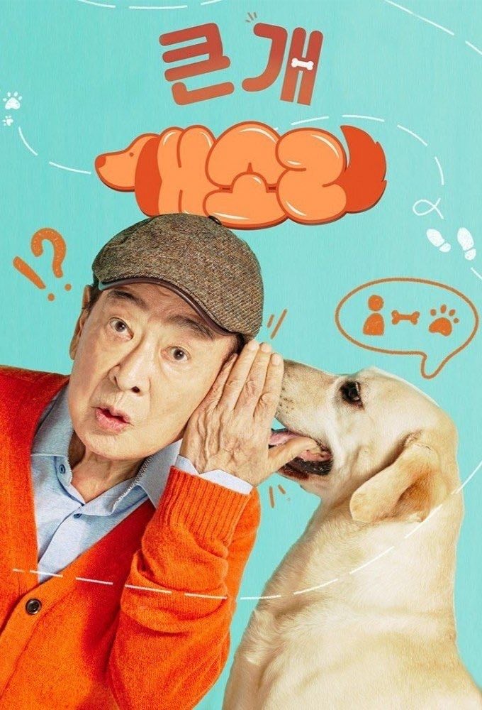 Dog Knows Everything - 12 - 2024
