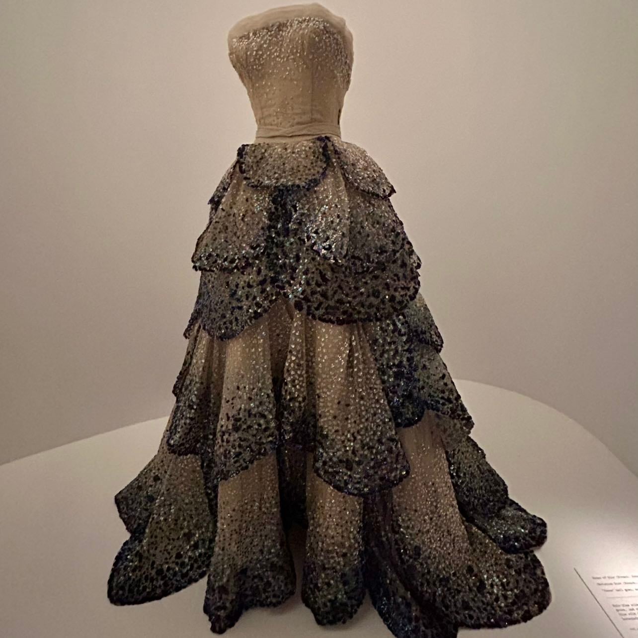 This Specific Dress - Christian Dior