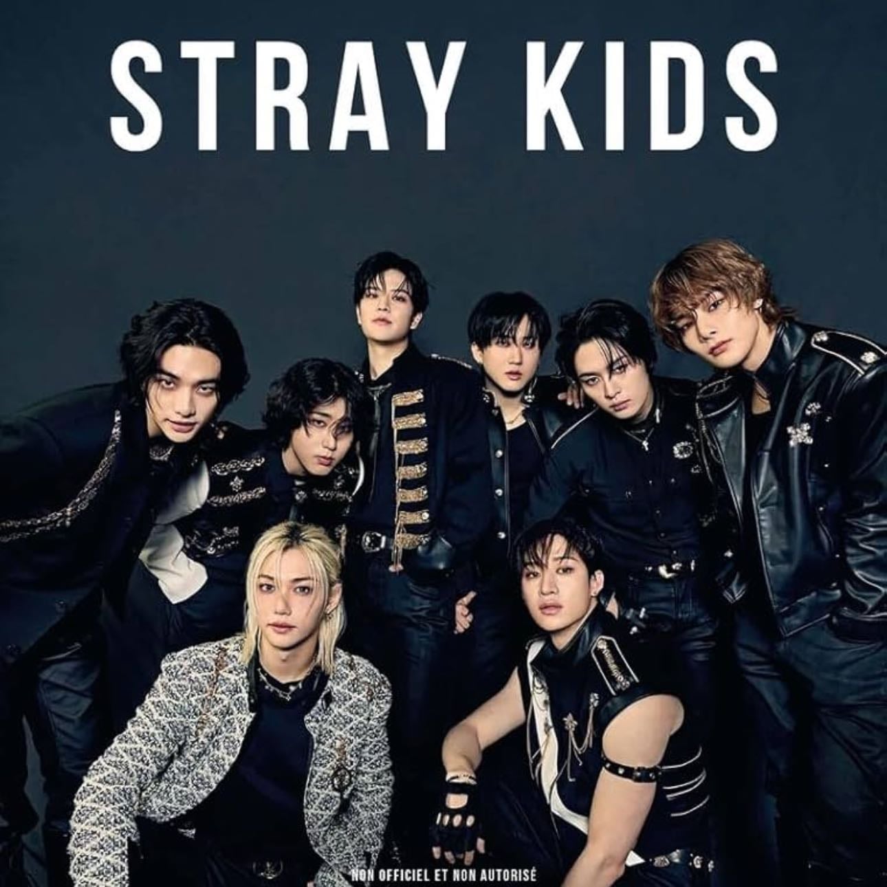 Stray Kids - Artist 路 2018