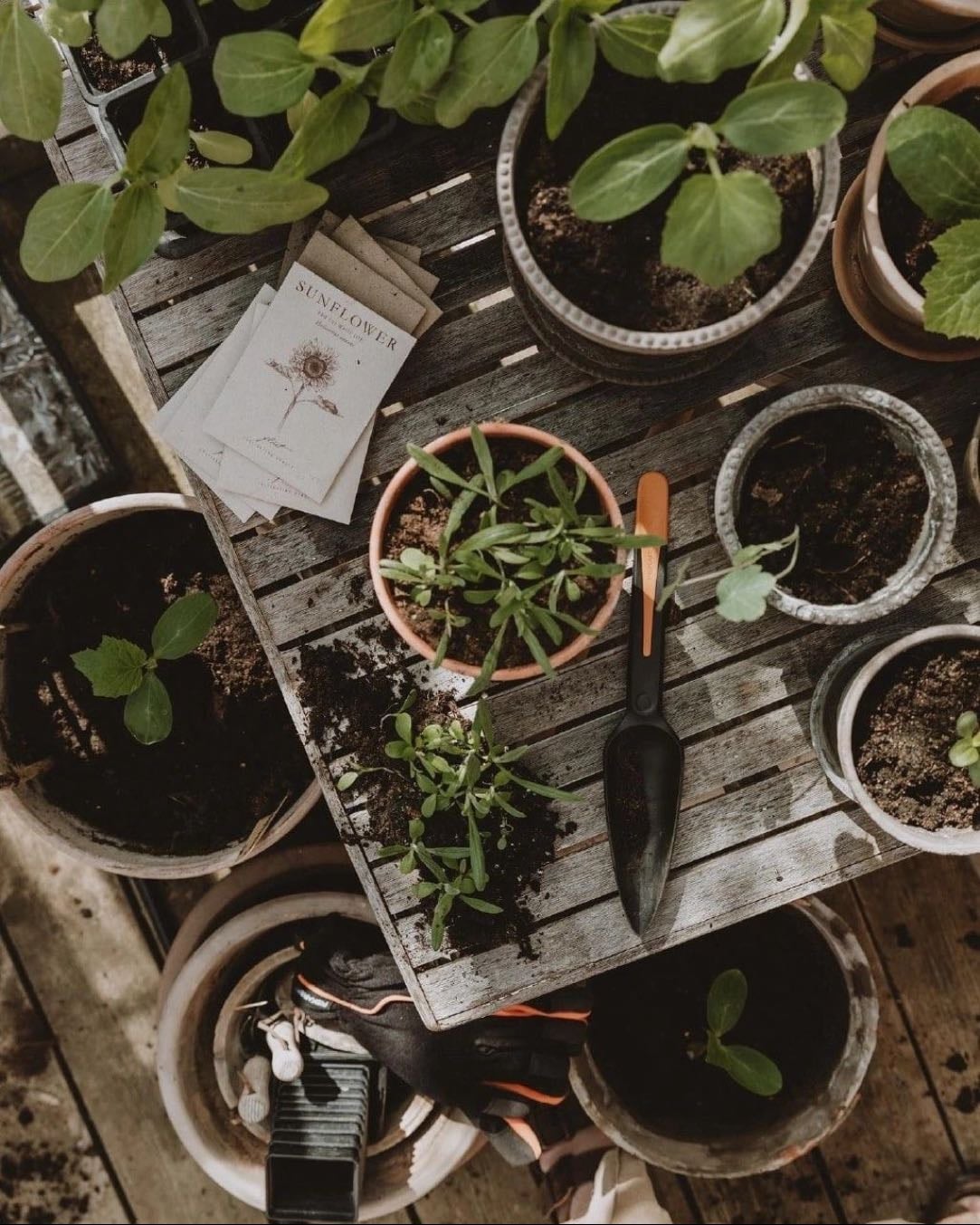 gardening