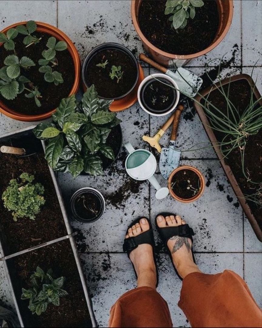 Fazer jardinagem