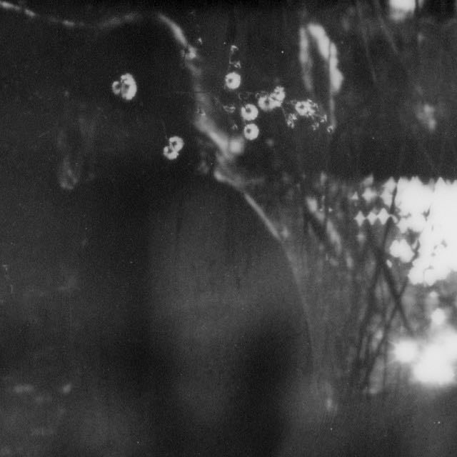 gently - Song · Leah Rando