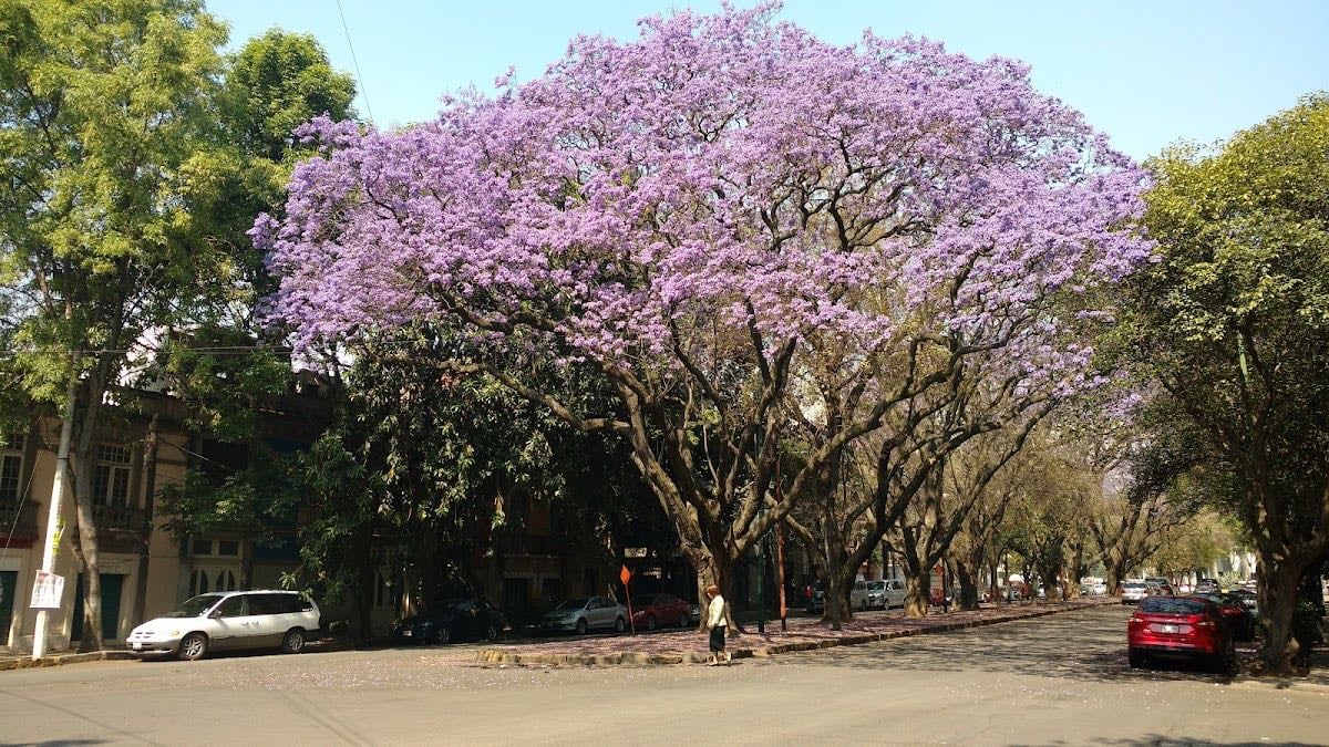 Mexico City