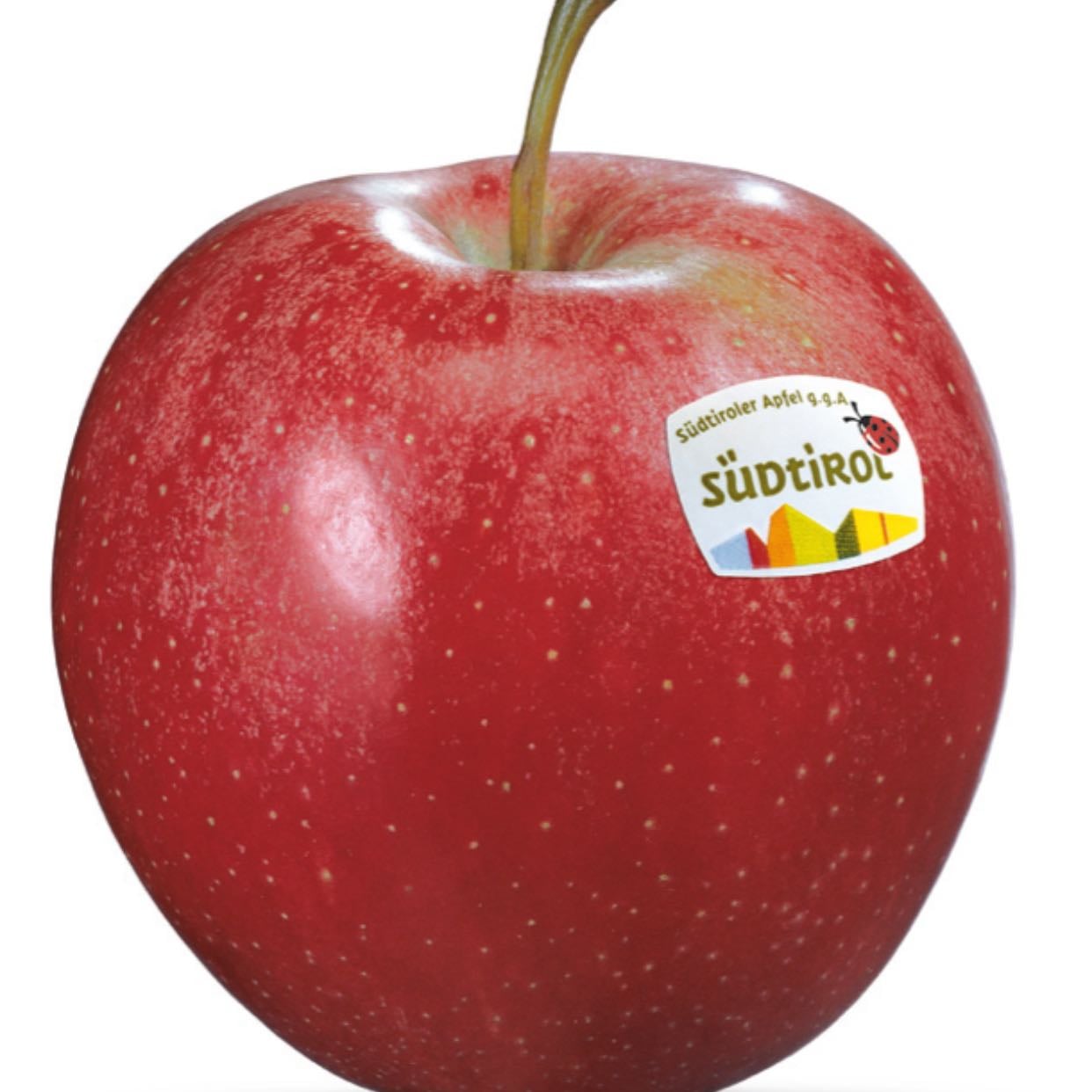 Apfel