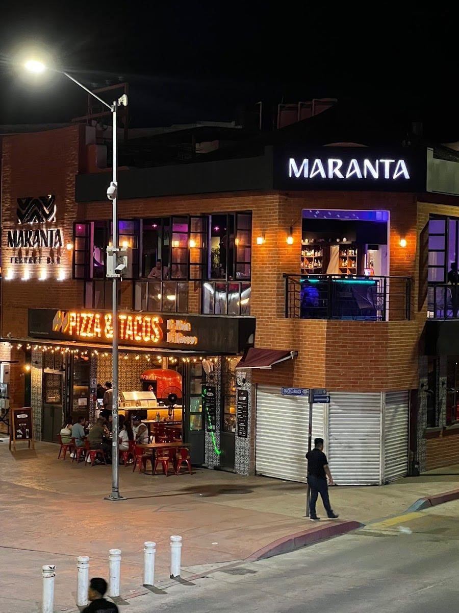Maranta Los Cabos