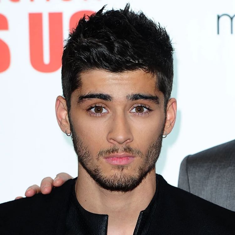 2015 Zayn - He is somthing els. He has a face no one could ever look alike. So fineπ