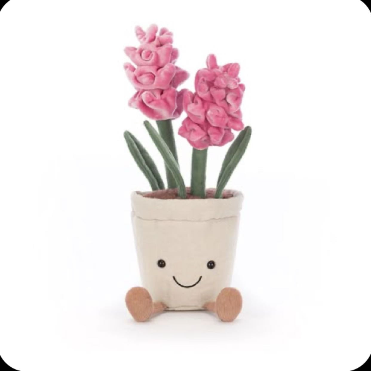 Flower Pot