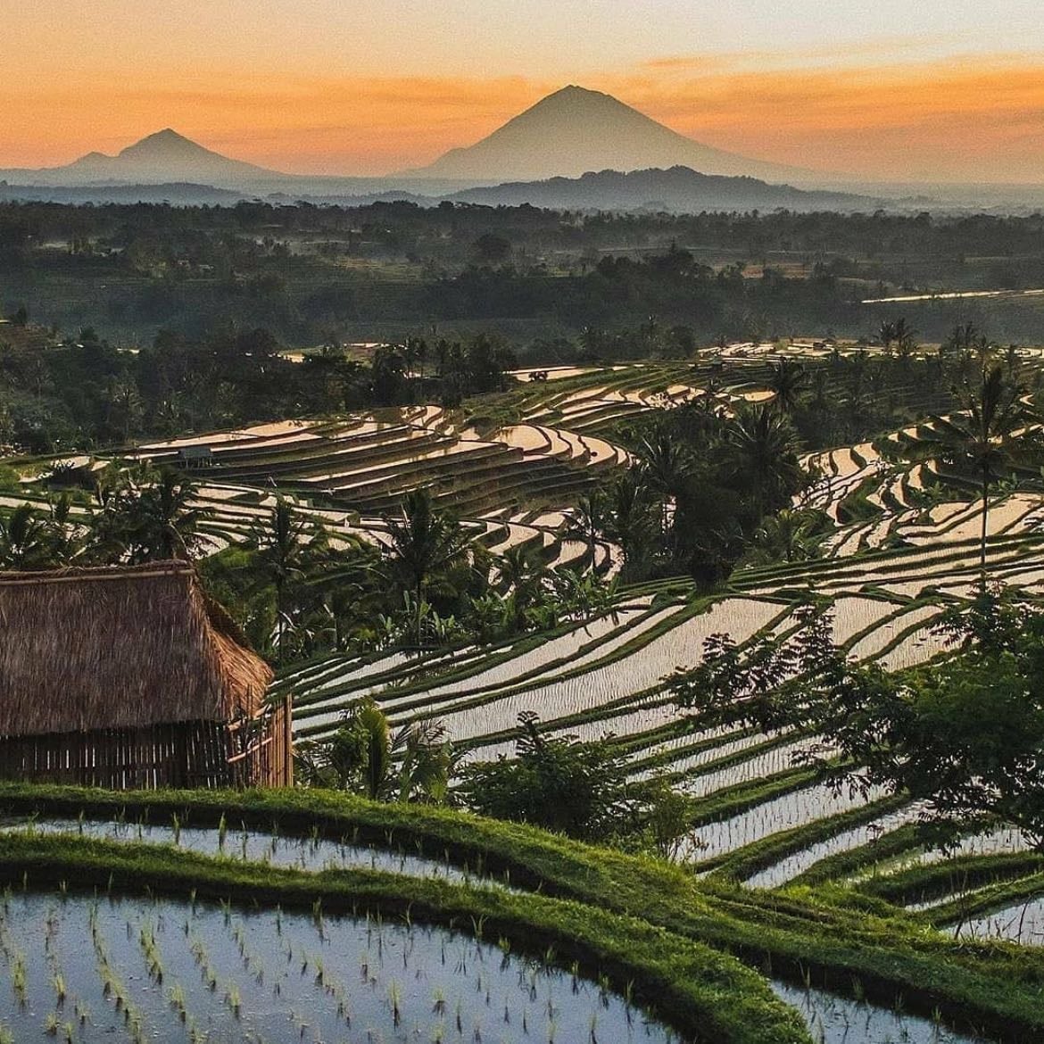 Bali (Indonésia)