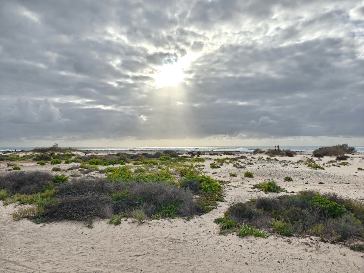 Playa el cotillo