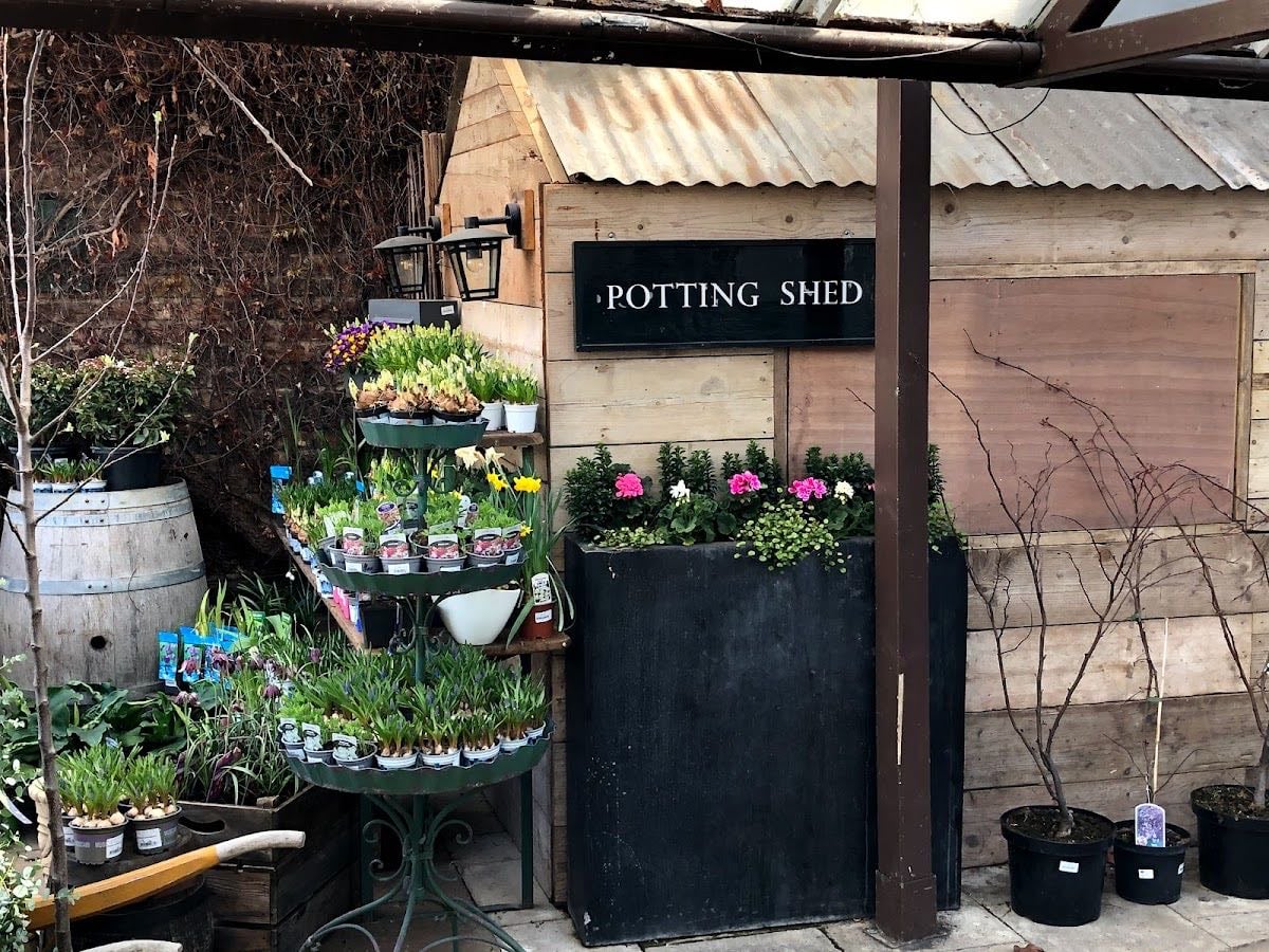 Clifton Nurseries