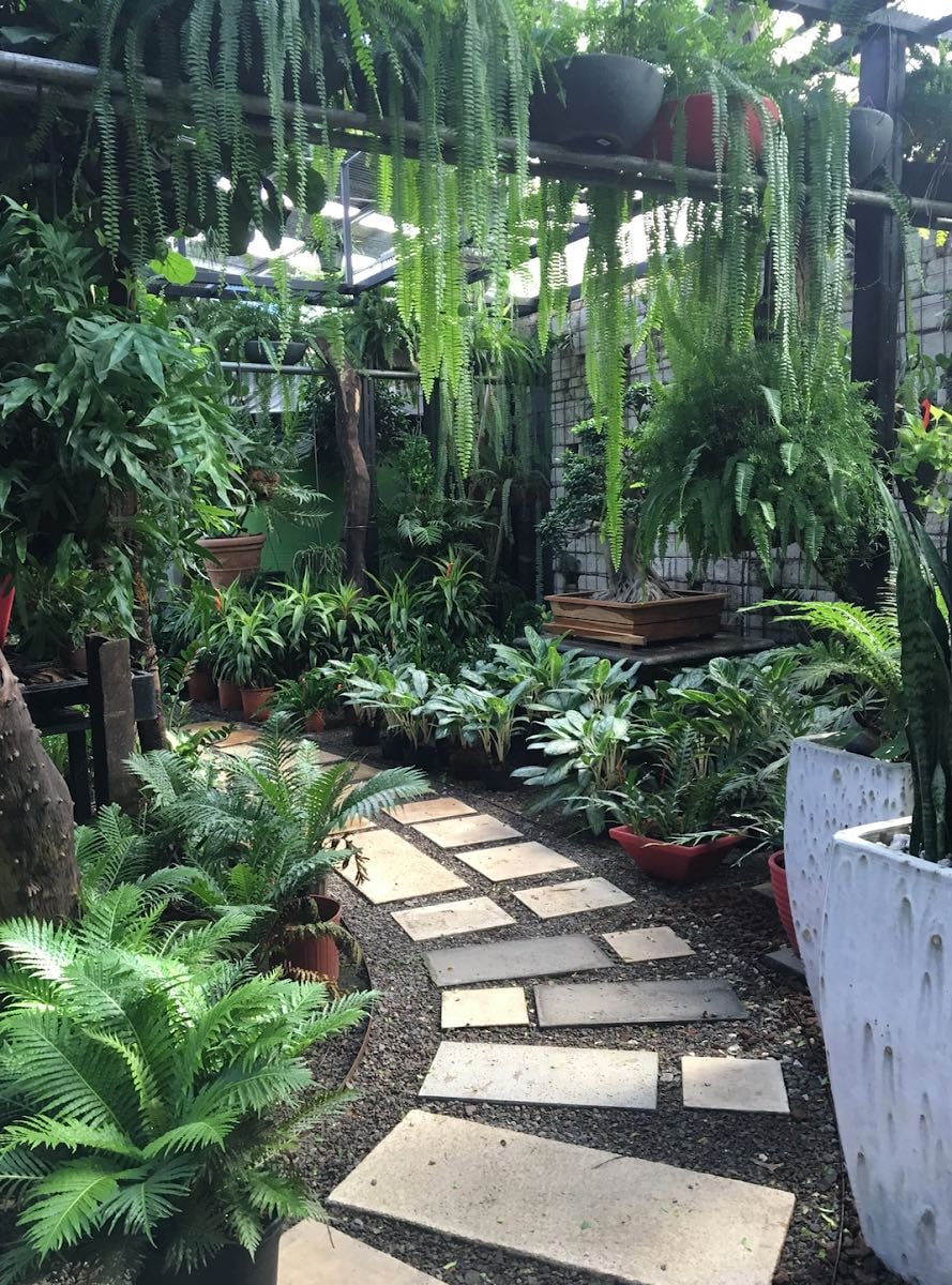 Vivero Pro Verde - Santa Ana