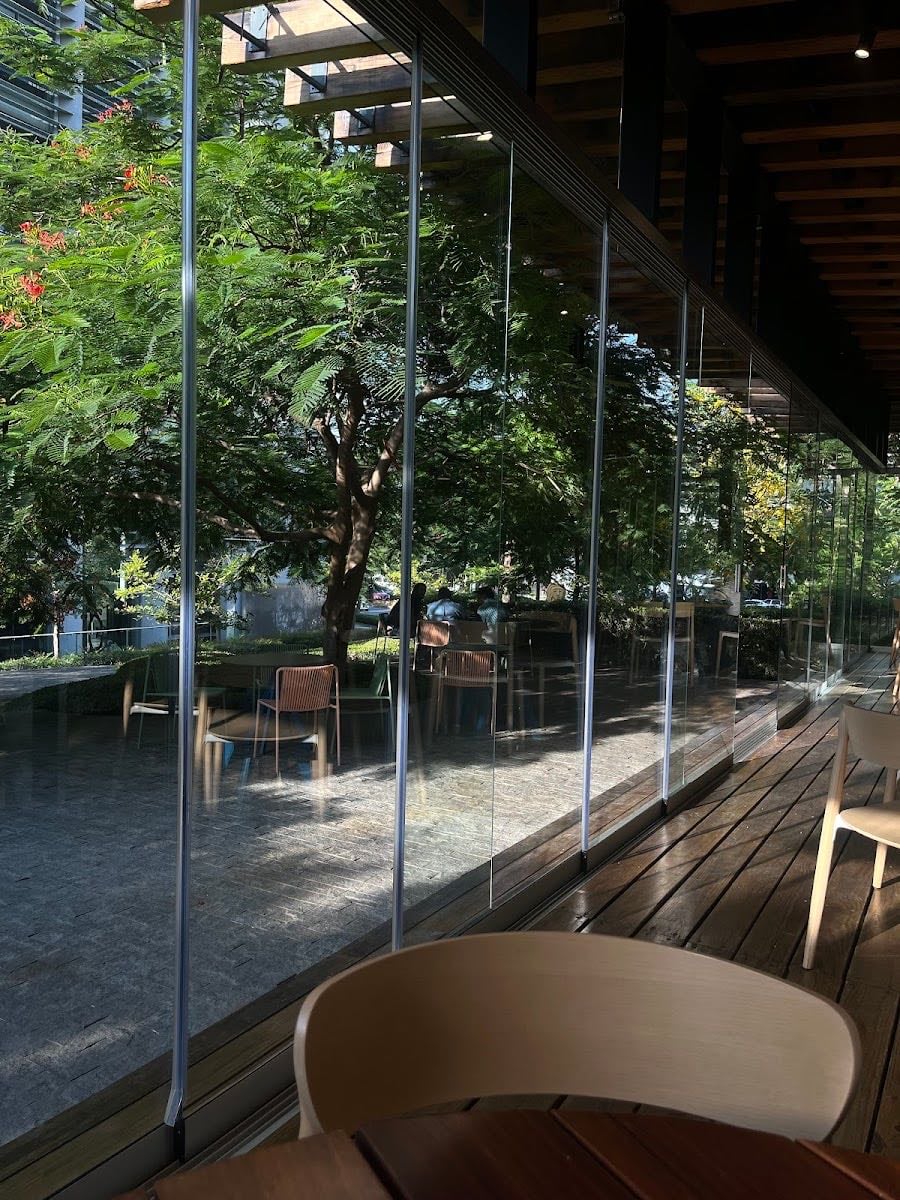 La Baya Magica Café