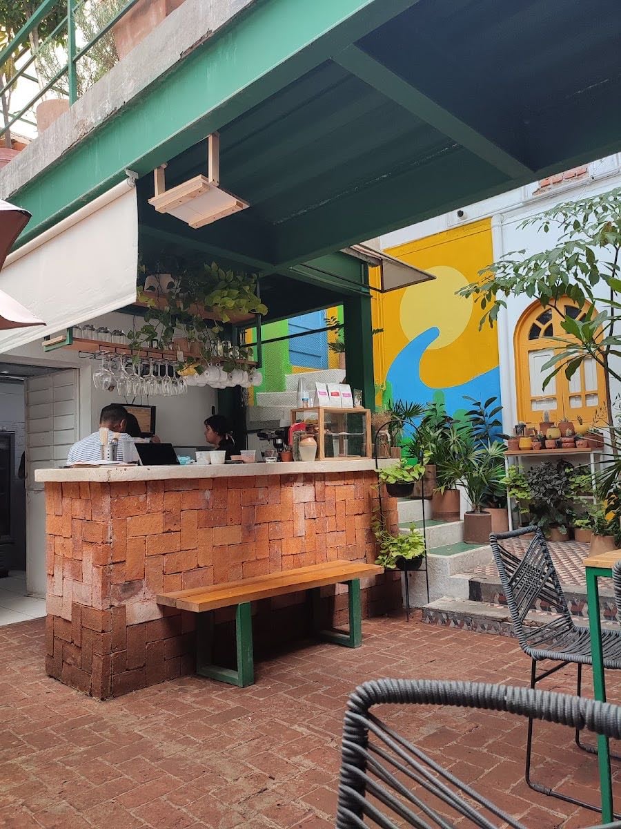 Ahuehuete Americana - Plantas y café