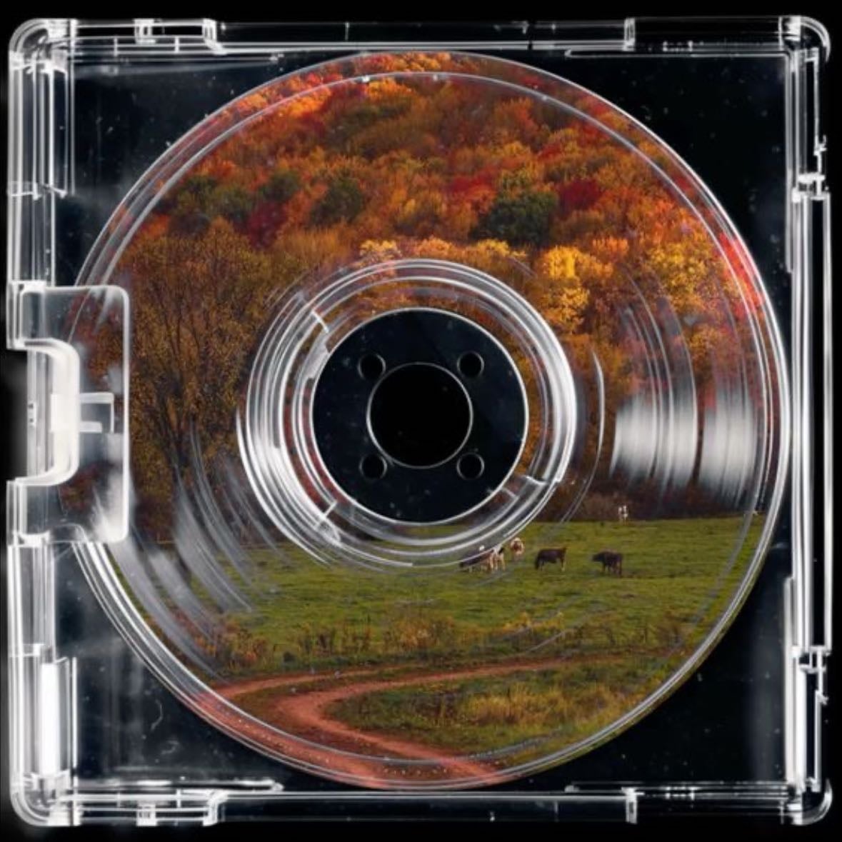 i know i could have loved you, but you would not let me - silver springs - fleetwood mac