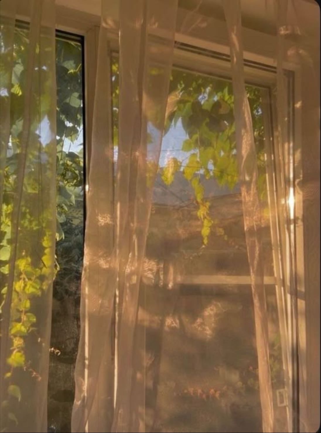 spring morning