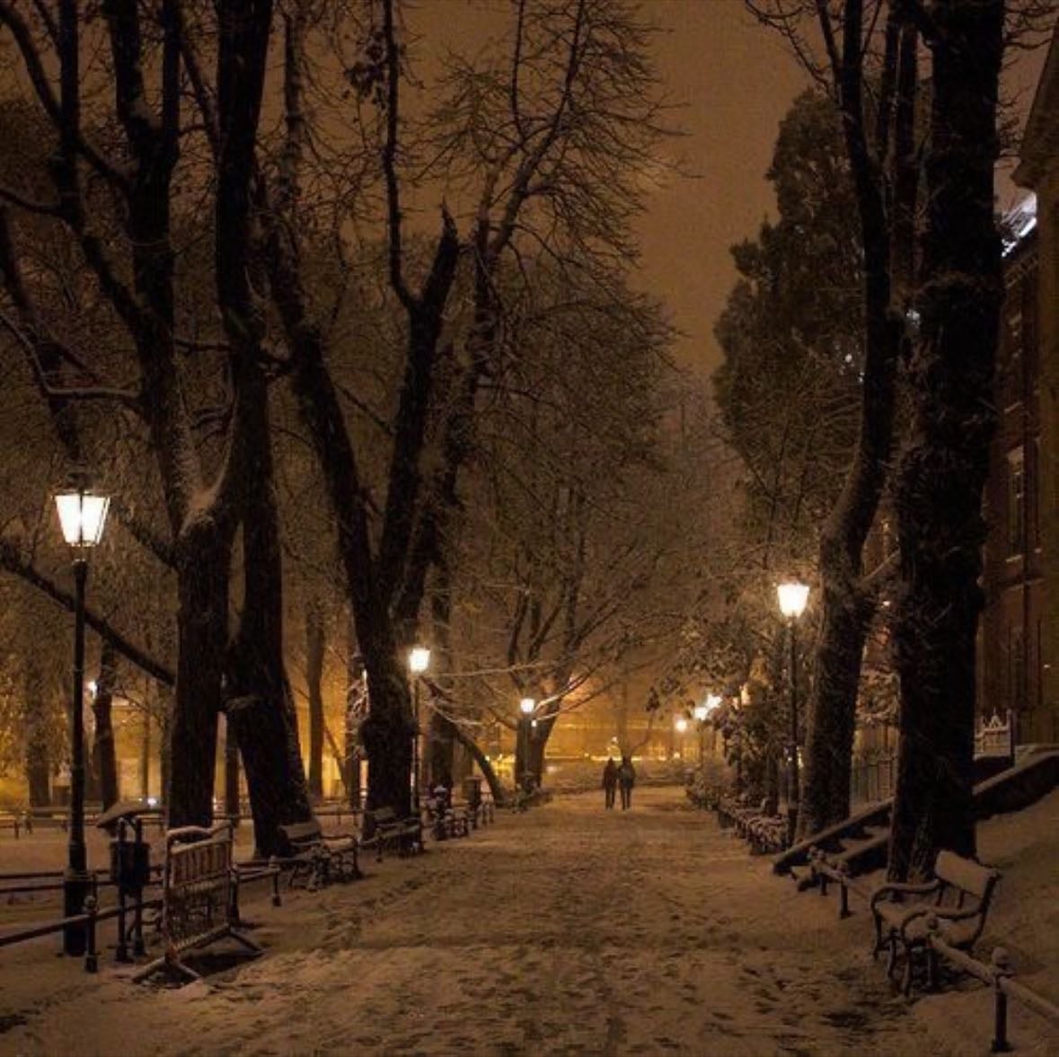 winter nights