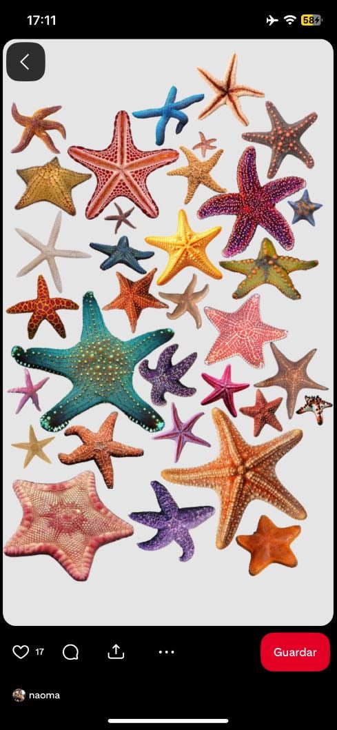 Estrellas de mar