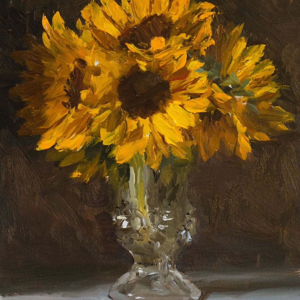 Sunflower - Helianthus annuus