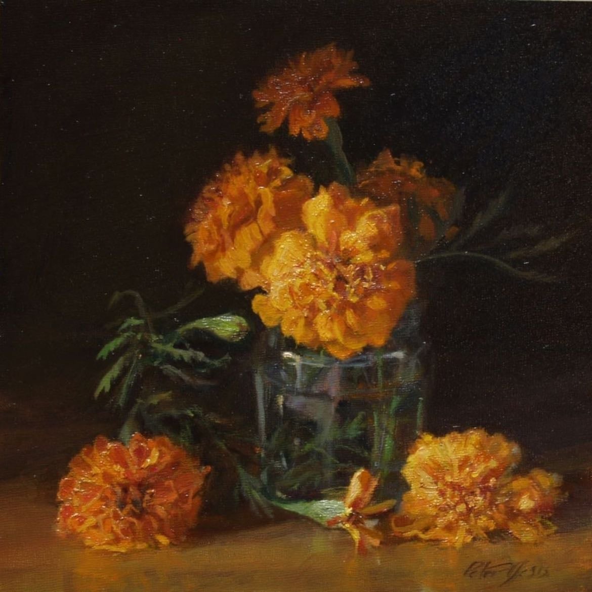 Marigold - Tagetes