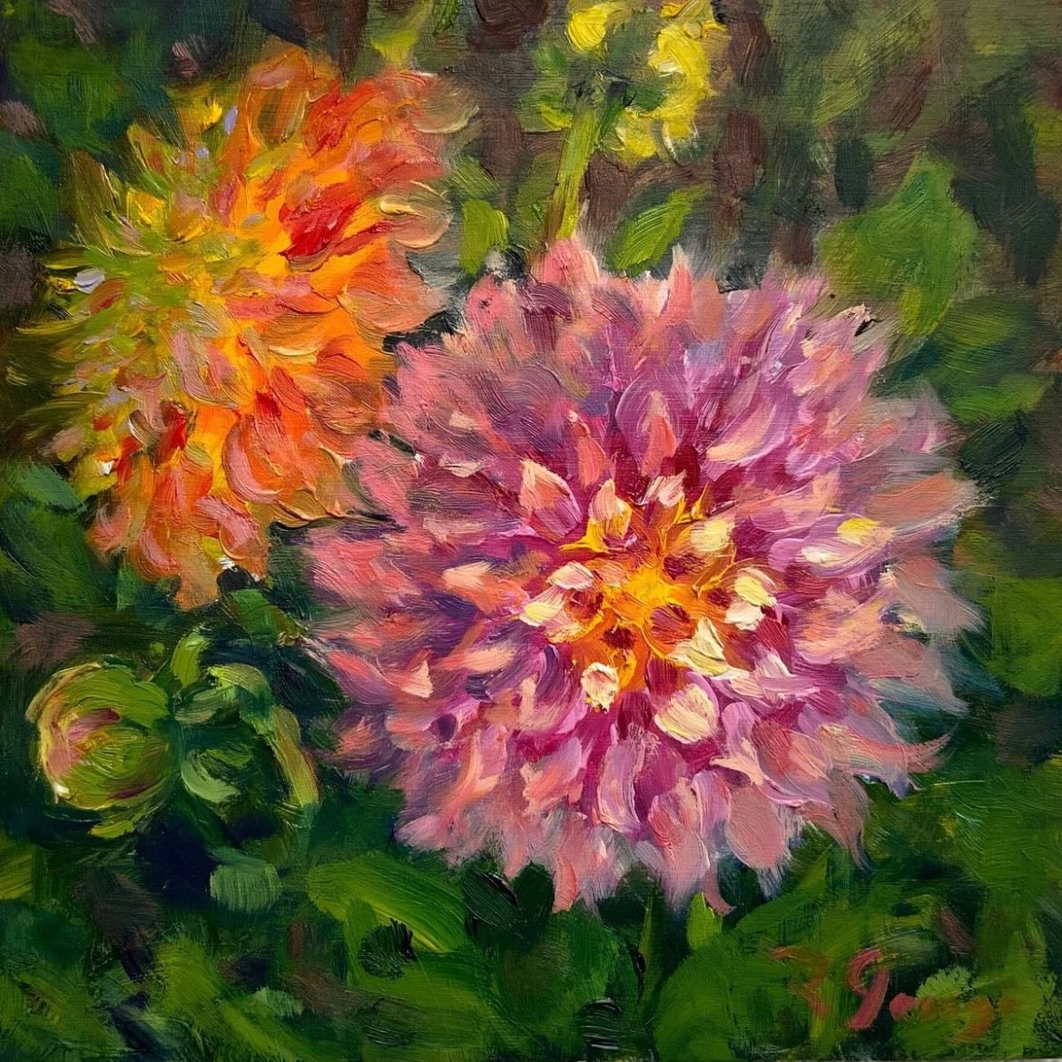 Dahlia - Dahlia