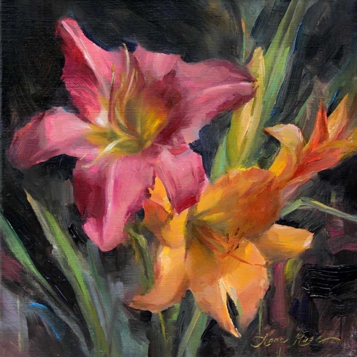 Lily - Lilium