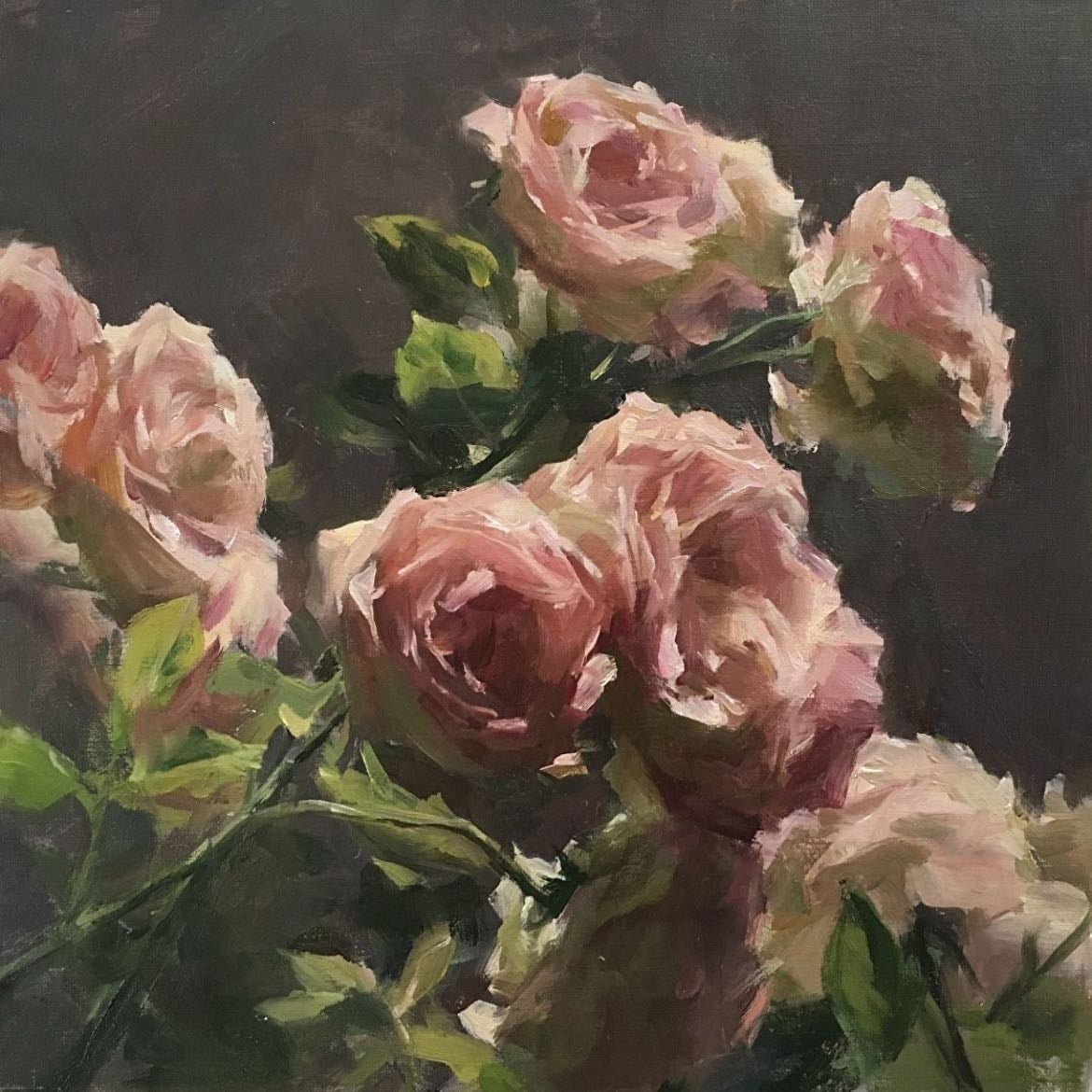 Rose - Rosa