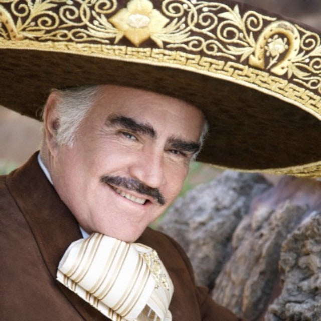 Vicente Fernández - Artist