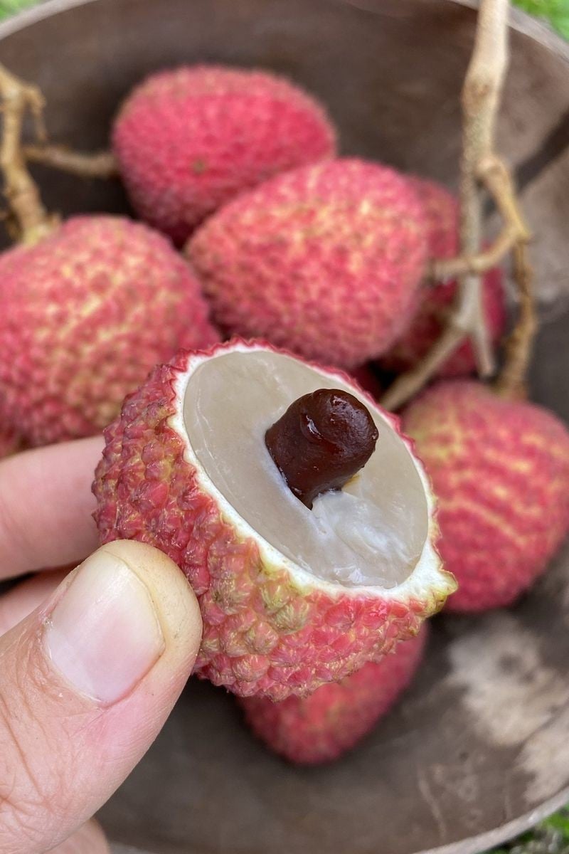 Sweetheart Lychee - Taste: Extremely sweet, floral, candy-like lychee flavor