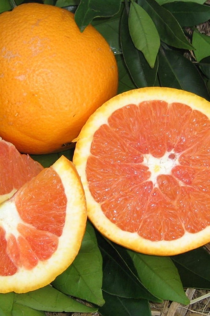 Cara Cara Orange - Taste: Sweet, low acid, berry-citrus notes