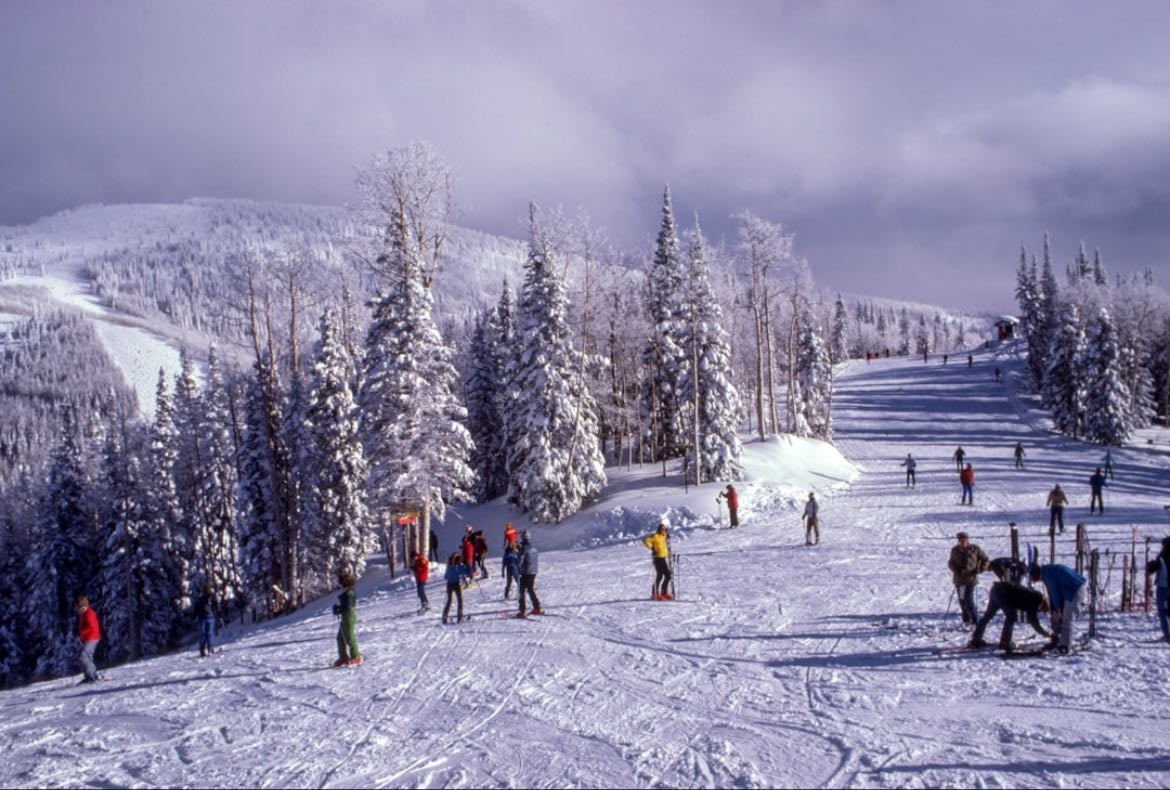 go skiing