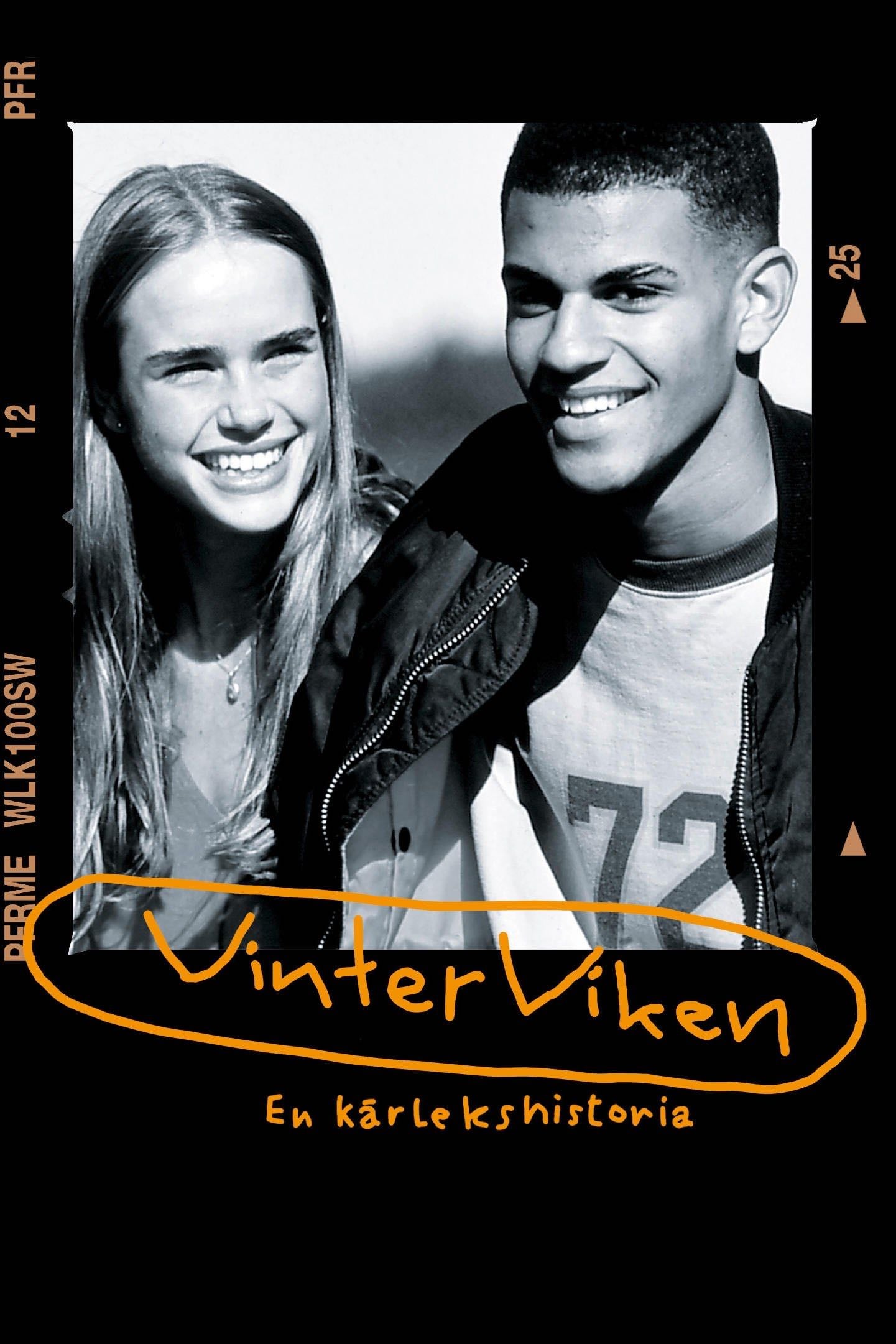 Vinterviken - Harald Hamrell · 1996