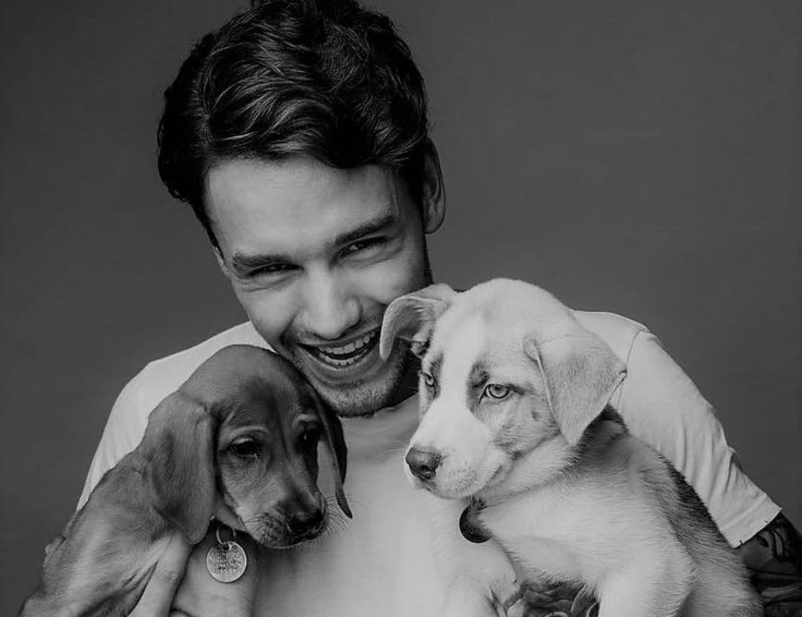 Fav Liam songs 🕊️💘