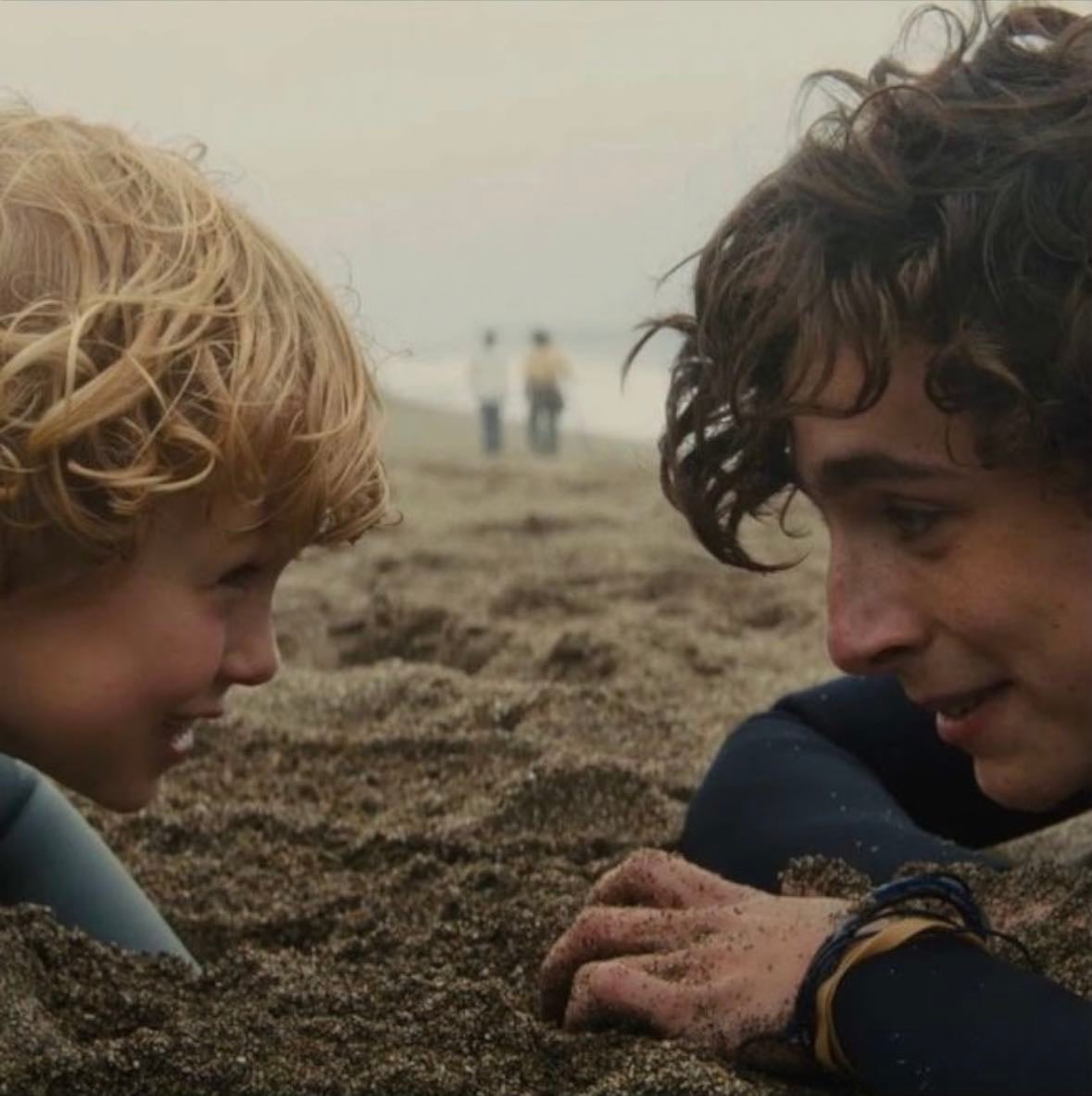 Beautiful Boy - Felix Van Groeningen • 2018