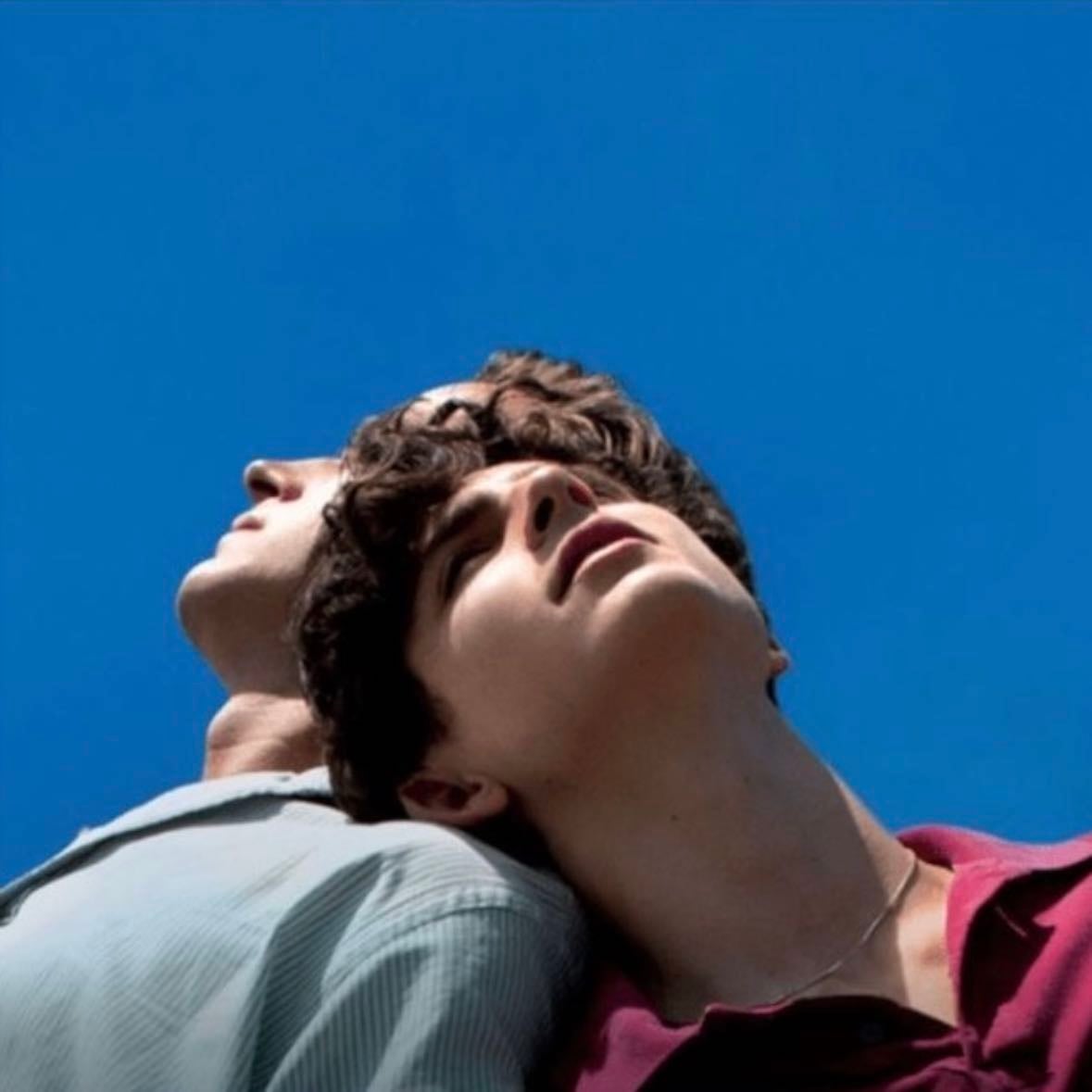 Call Me By Your Name - André Aciman • 2017