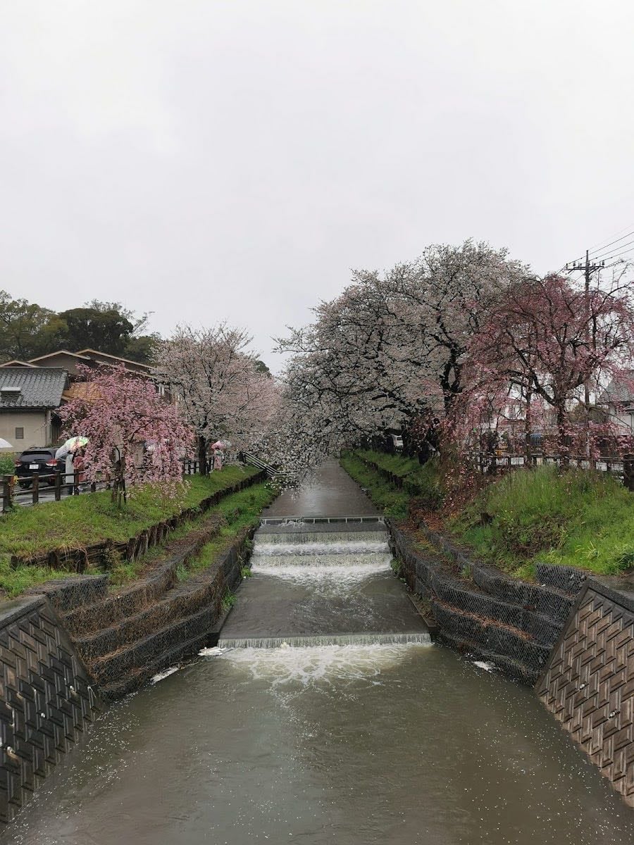 Shingashi River