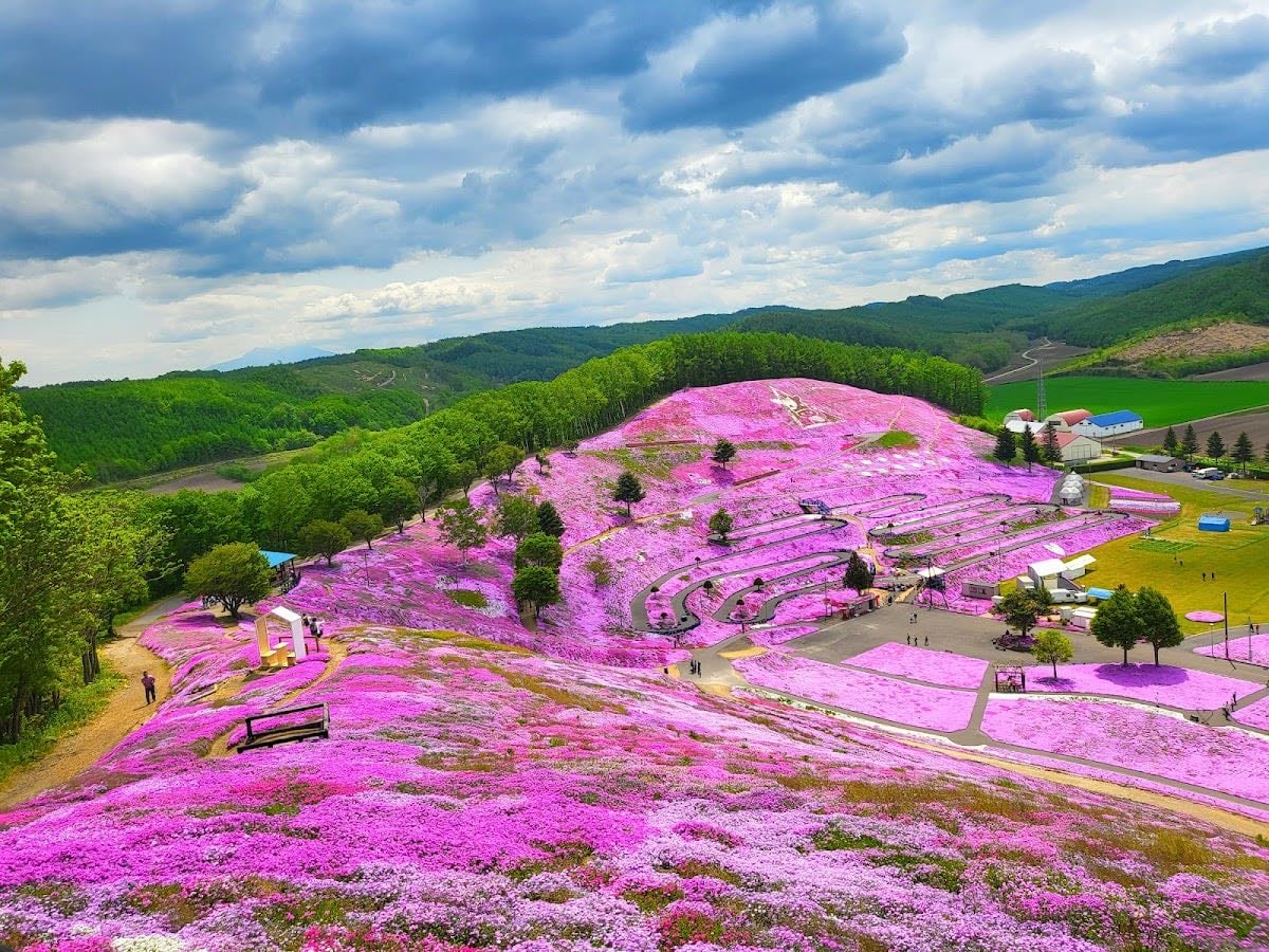 Higashimokoto Shibazakura Park