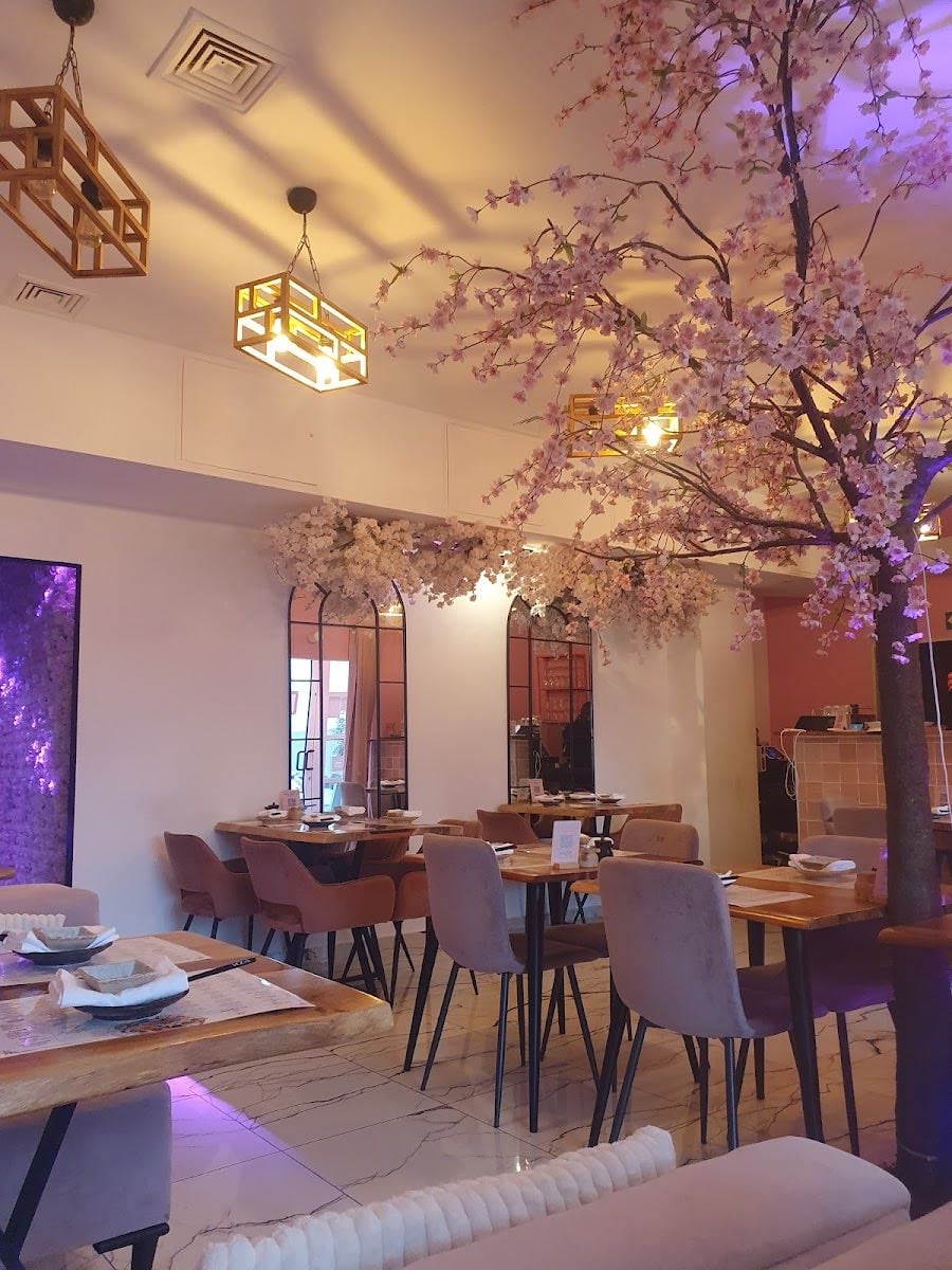 Fusion Sushi -Sachsenhausen Frankfurt