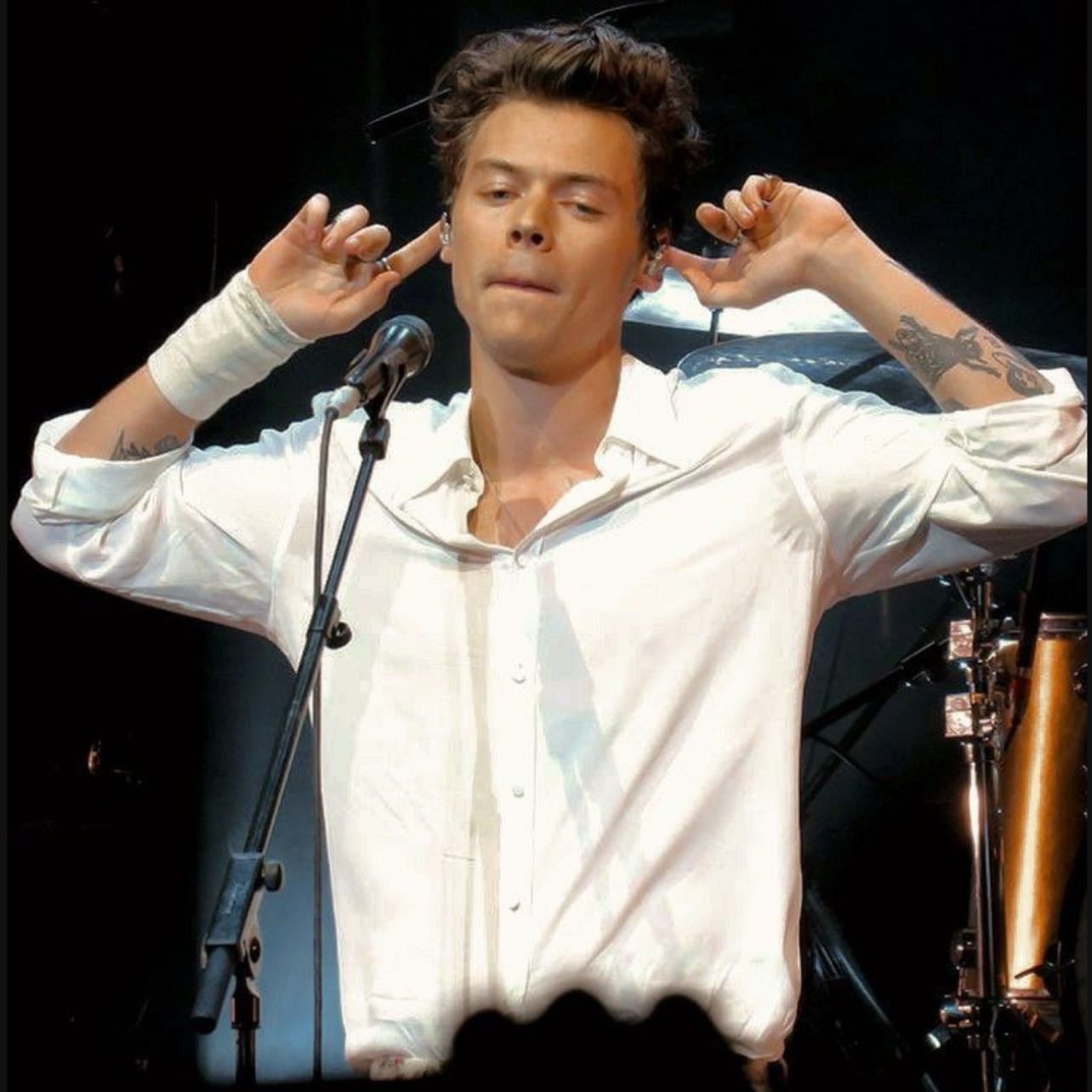 2017 Harry - my favorite Harry (besides frat boy)