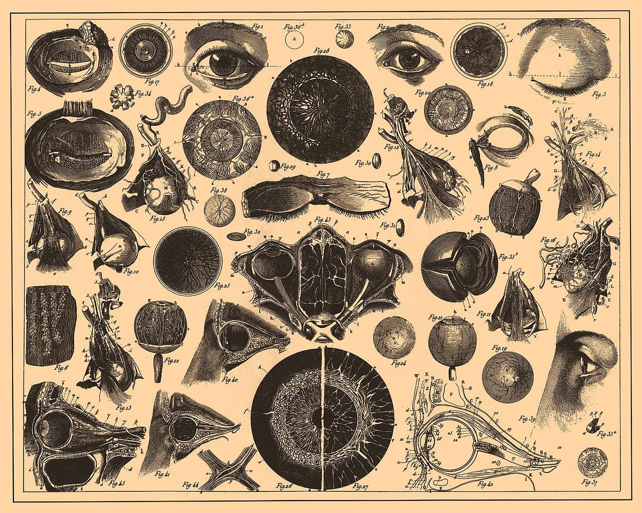 ¿Qué serÃa de la ciencia sin metáforas? - Ethic