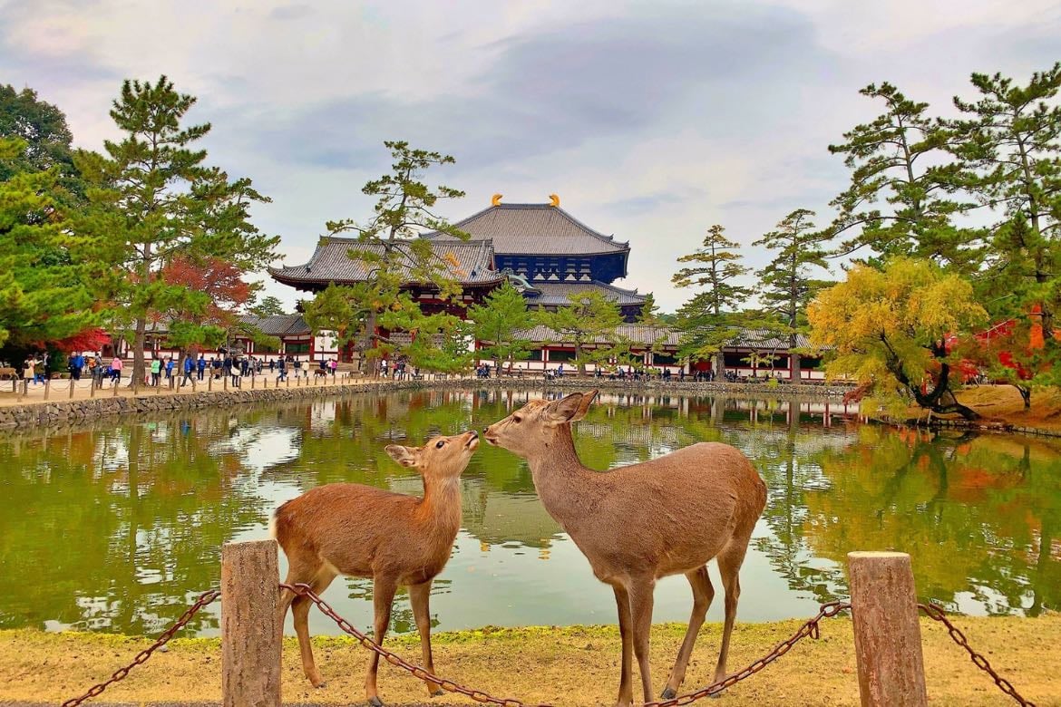 Nara
