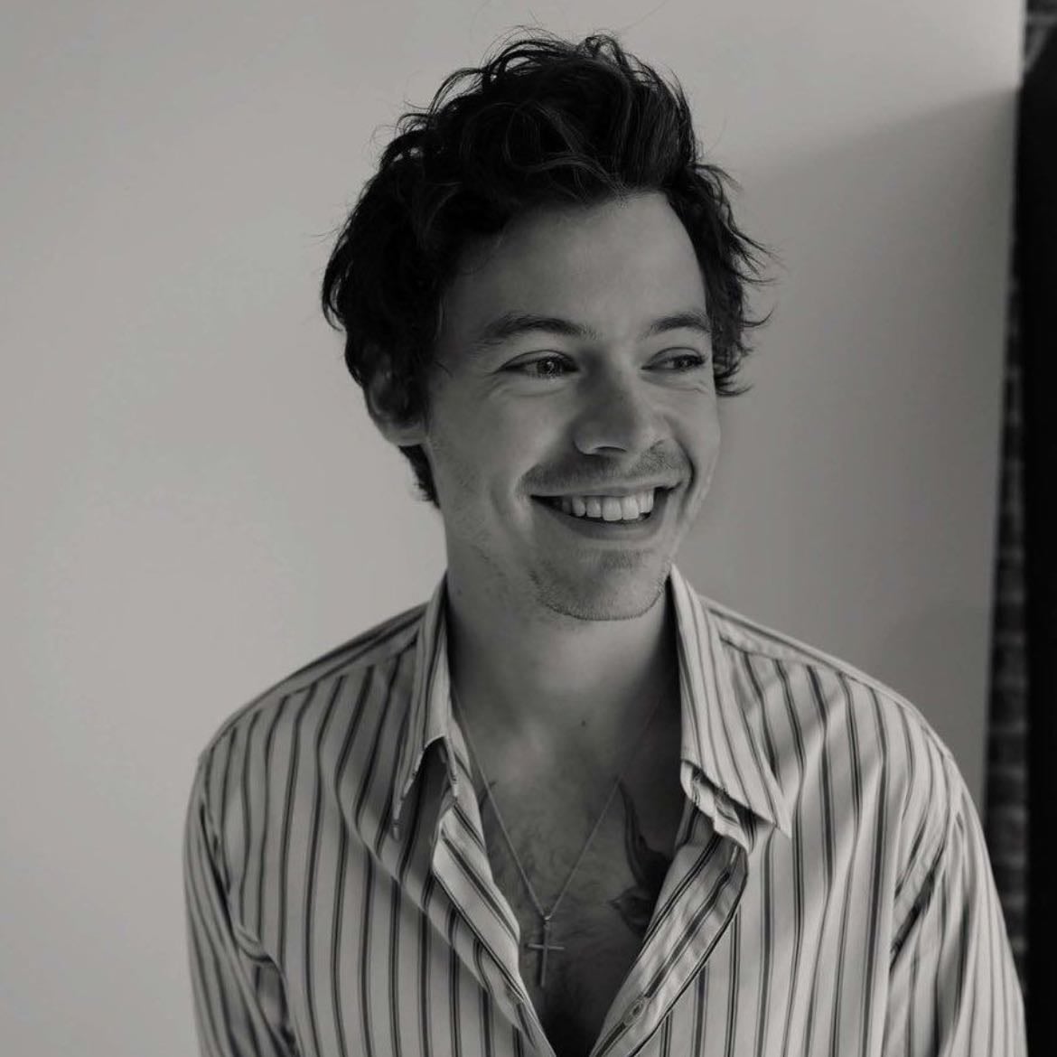 Harry Styles - No hay mucho que decir
