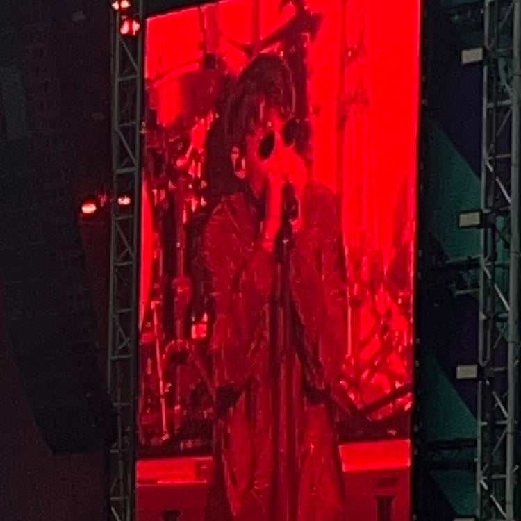 Louis Tomlinson - For this concert I also had seat tickets and let me tell you it was the best time I’ve had!!!!it was a whole vibe and we were sooo loud🤭 Saw him at a festival again and crieedddd to walls🥹