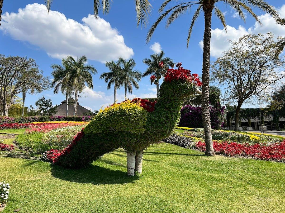 Jardines de M茅xico