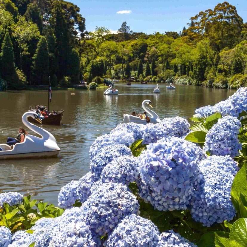 gramado - lago negro
