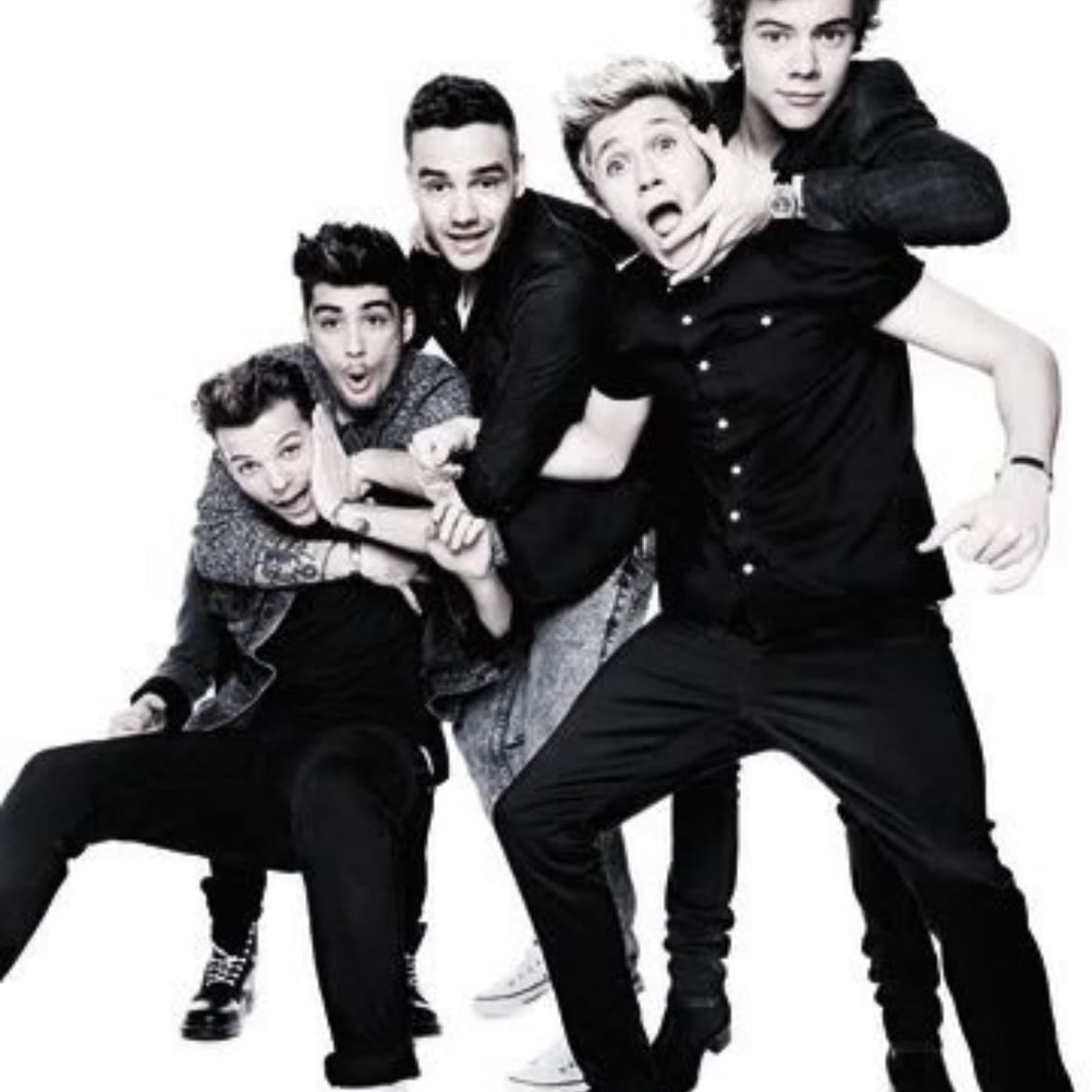 One direction - One direction bc I remember when I was 4 I jumped around my room screaming to don’t know your beautiful. They just brought me so much joy and I was so sad when they broke up and still to this day I’m still listening to them they are amazing artists and there voice are beautiful. Still wish I got to see them live but I hop one day they will get back together so I won’t have to go to a million concerts. Niall is definitely my favourite he is a part of me I have a weird laugh and I would be laughing for hours at the something that happened 10 minutes ago and his frat boy era was so good and Harry they frated like nobody before