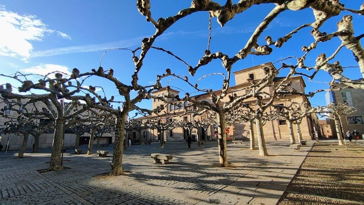 Pl. Viriato