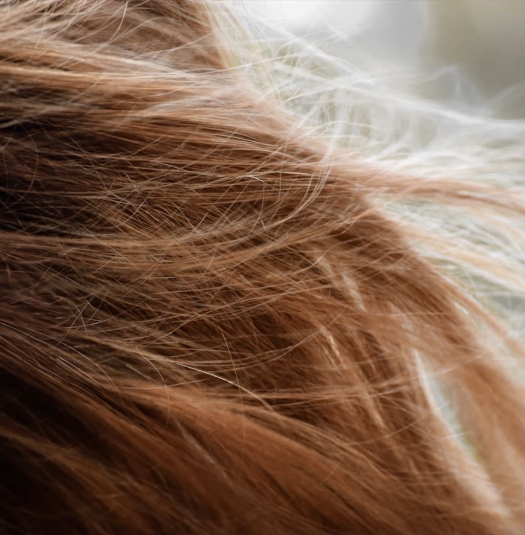 Pelo - Products hypelist by Lloreto🦆